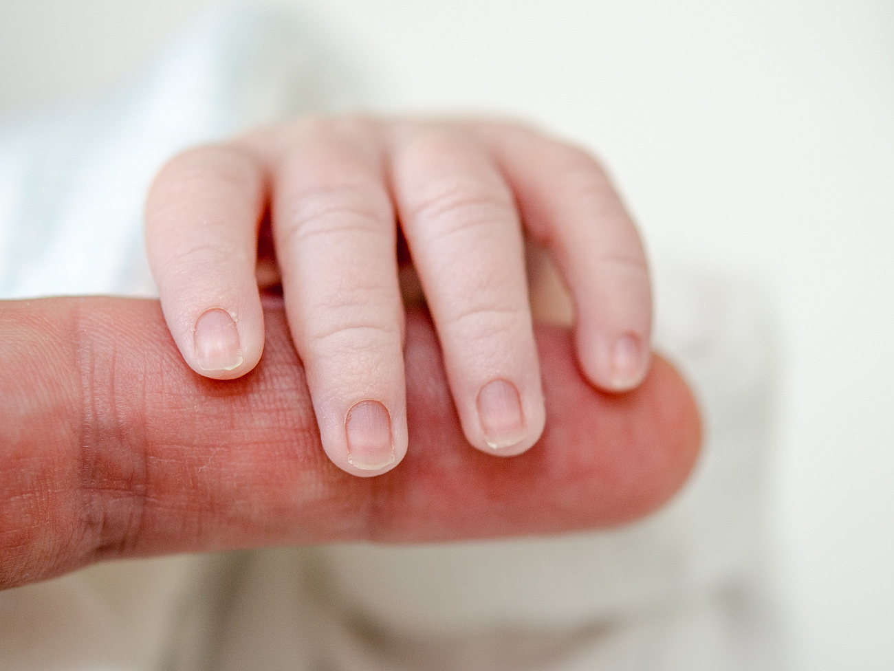 Hand eines Neugeborenen umschließt Finger eines Erwachsenen