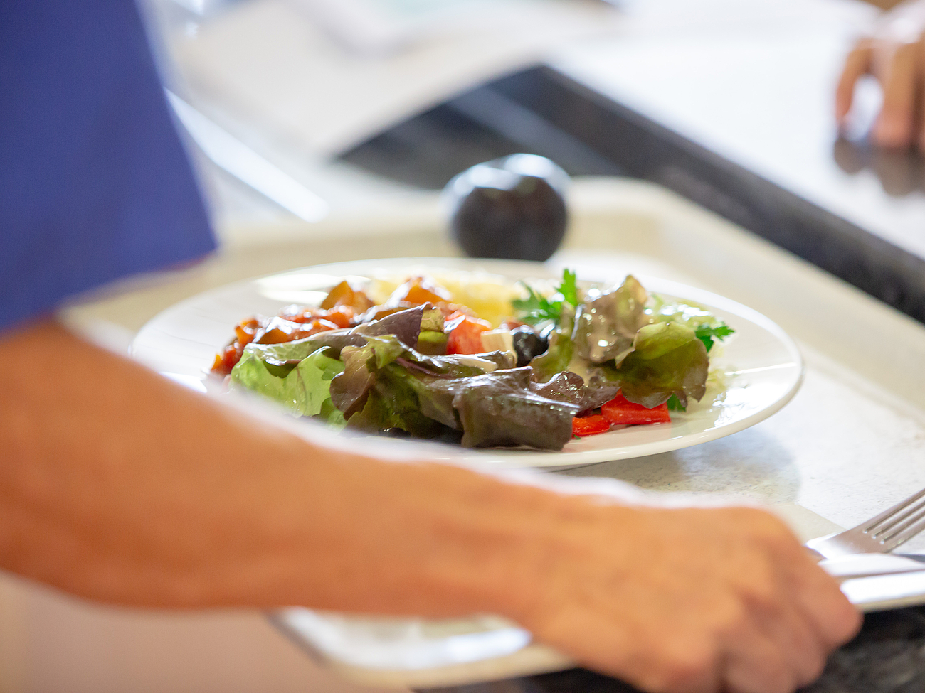 Speisentablett Ein Restaurantbesucher hat einen Teller mit Essen auf einem Tablett.